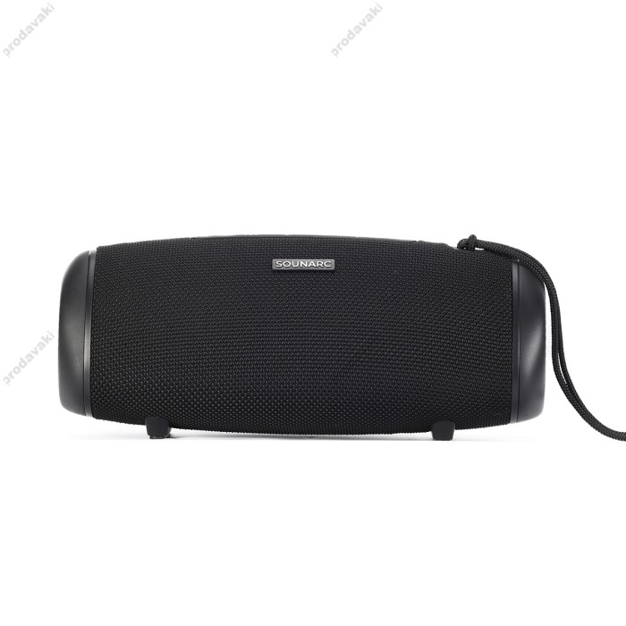 Портативна колонка Bluetooth Sounarc R1 IPX6 BT5.3 40W Black
