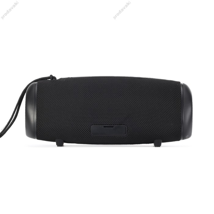 Портативна колонка Bluetooth Sounarc R1 IPX6 BT5.3 40W Black