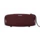 Портативна колонка Bluetooth Sounarc R1 IPX6 BT5.3 40W Red