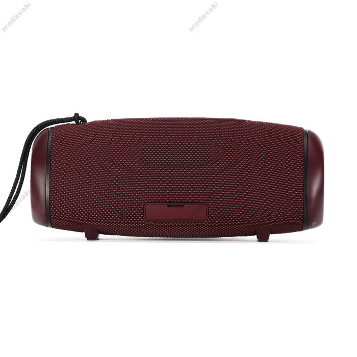 Портативна колонка Bluetooth Sounarc R1 IPX6 BT5.3 40W Red