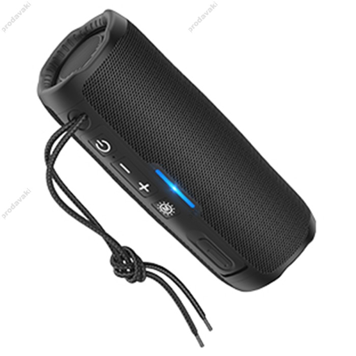 Портативна колонка Bluetooth Hoco HC16 Vocal sports 10W Black
