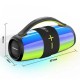Портативна колонка Bluetooth Hopestar P54 40W Black