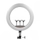 Лампа кільцева LED CH LJJ-45 Touch Switch 45cm 55W 2700-6500К