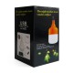 LED лампа CH 6500K 100W 2400mAh White