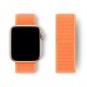 Нейлоновий ремінець Nylon loop 38mm/40mm/41mm для Apple Watch (Papaya)