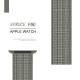Нейлоновий ремінець Nylon loop 42mm/44mm/45mm для Apple Watch (Spruce Fog)