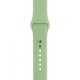 Ремінець для Apple Watch 38mm / 40mm / 41mm Sport Band Mint gum