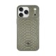 Чохол Santa Barbara Polo & Racquet Club Knight MagSafe iPhone 17 Pro Titanium Grey