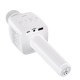 Портативна колонка-мікрофон HOCO BK5 Cantando karaoke microphone BT 5.0 White