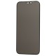 Захисне скло для iPhone 12 mini Full Glue Anti-Spy чорне