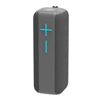 Портативна колонка Bluetooth Hopestar P15 10W Grey