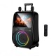 Портативна колонка Bluetooth HOCO DS71 RGB outdoor karaoke 60W Black