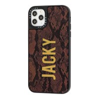 Чохол для iPhone 11 Pro Tify Mirror Jacky