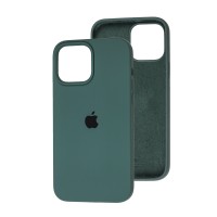 Чохол для iPhone 13 Pro Max Silicone Full зелений / cactus