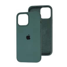 Чохол для iPhone 13 Pro Max Silicone Full зелений / cactus