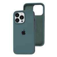 Чохол для iPhone 13 Pro Silicone Full зелений / cactus