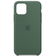 Чохол Silicone case для iPhone 12 /12 Pro pine green