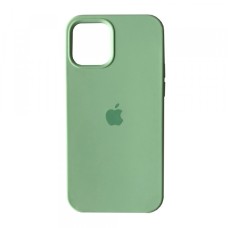 Чохол Silicone case для iPhone 12 /12 Pro fresh green