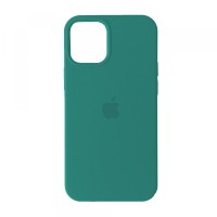 Чохол Silicone Case Full для iPhone 12/12 Pro cactus