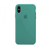 Чохол Silicone Case Full для iPhone XS Max cactus
