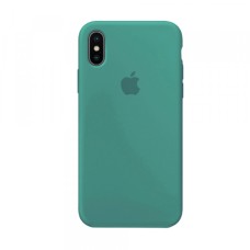 Чохол Silicone Case Full для iPhone XS Max cactus