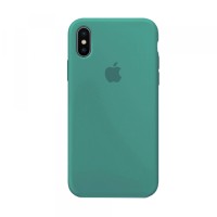 Чохол Silicone Case Full для iPhone X/XS cactus