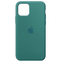 Чохол Silicone Case Full для iPhone 11 cactus