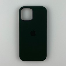 Чохол Silicone Case з MagSafe для iPhone 12 mini Cyprus Green