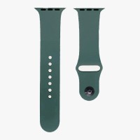 Ремінець Apple Watch Silicone 42mm / 44mm / 45mm S (61) Cactus