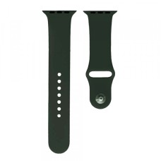 Ремінець Apple Watch Silicone 42mm / 44mm / 45mm M (49) Forest green