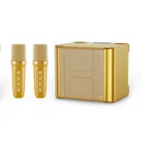 Портативна колонка Bluetooth CH Hifi YS111 мікрофон 2шт 10W Gold