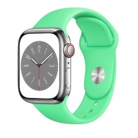 Ремінець для Apple Watch 38mm/40mm/41mm Sport Band Spearmint